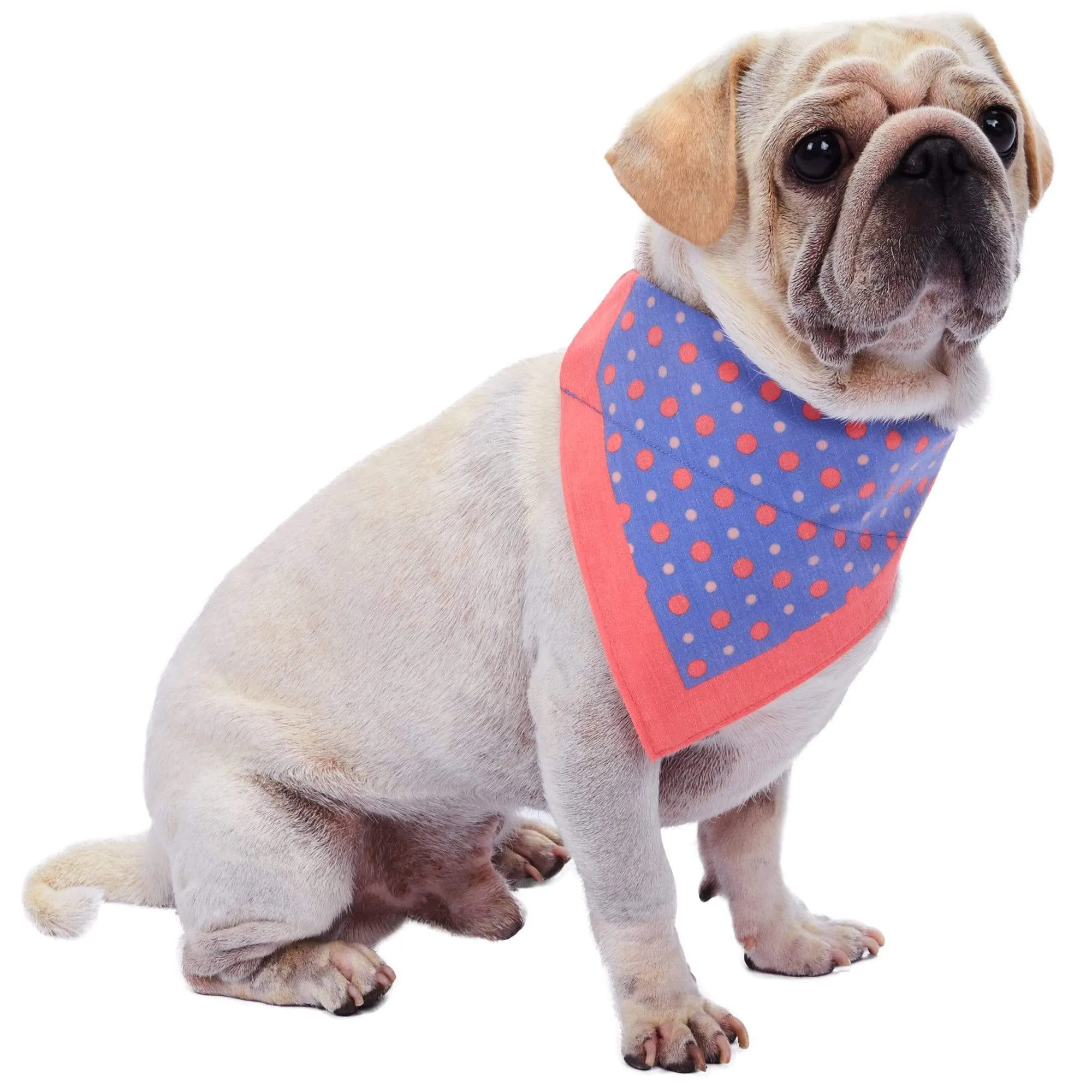 Polka Dot Bandana Dog Collar